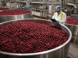 Egyptian Hibiscus FOB Cairo Steadies in Narrow Range as Demand Holds