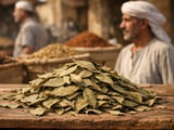 Egyptian Laurel Leaves: FOB Cairo Softens Amid Heatwave and Slower Trade