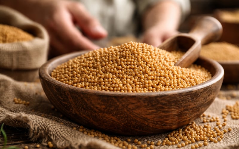 India’s Mustard Market Softens as Mills Step Back and Arrivals Rise
