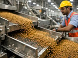 Mustard Firms as Arrivals Ease and Edible Oils Tighten in India
