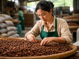 Vietnam Star Anise FOB Holds Firm as Export Mix Diversifies