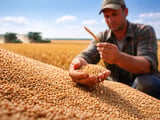Russian Winter Wheat Pullback Sets Up Medium‑Term Bullish Risk