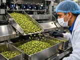 Large Cardamom Finds a Floor as New Nepal Crop Caps Upside