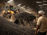 India Black Gram Market Softens as Mills Step Back After Recent Rally