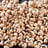 Kidney beans — brown eye