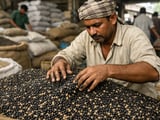 Black Gram Market Under Pressure But Deeper Correction Unlikely