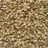 Coriander seeds — eagle, split