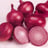 Onion — fresh