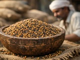 Stable Mustard Prices Despite Higher Arrivals as Edible Oils Stay Firm