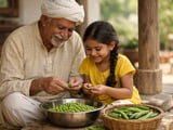 Indian Pea (Matar) Market Steady-to-Firm as Processor Demand Supports Prices