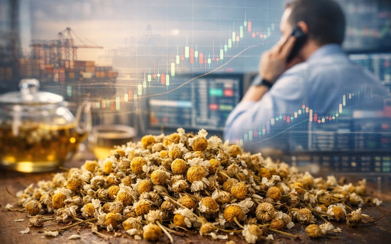 Egyptian Chamomile FOB Cairo Edges Higher on Firm Export Interest