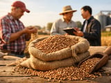 Polish Buckwheat Eases, China Supported as Russian Drought Bites