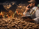 Cumin Prices Hold Firm as Export-Grade Supply Stays Tightly Controlled