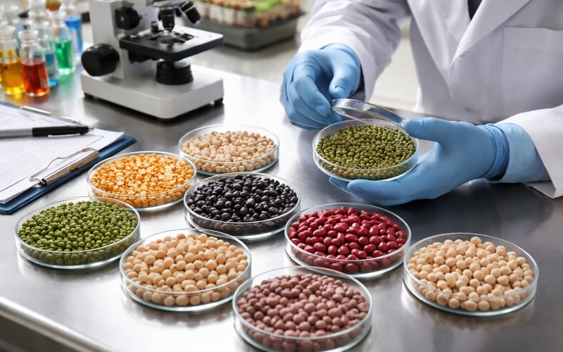Indian Moong Strengthens on Farmer Holding While Global Bean FOBs Firm