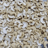 Cashew kernels — FS
