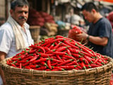 China’s chilli crackdown hits Indian exports as prices stay firm in EUR terms