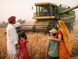 India’s Soybean Switch: High Prices, Dry Monsoon Fears Shift Kharif Acreage