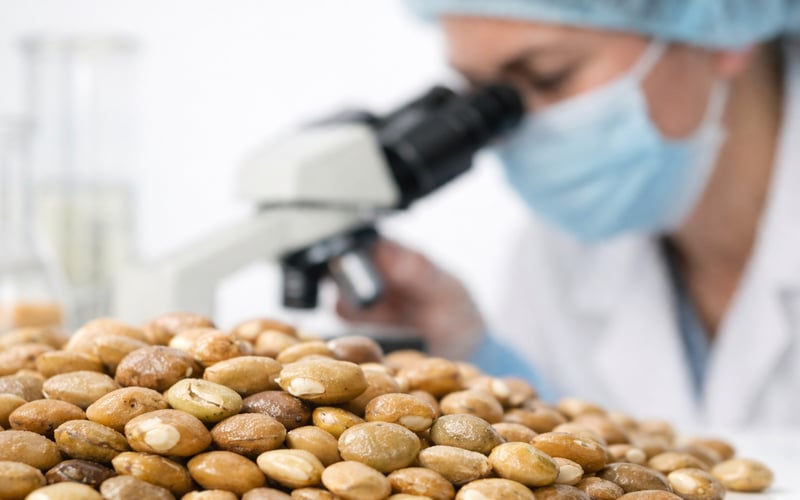 Tight Monsoon Outlook Keeps Guar Seed Complex Firm