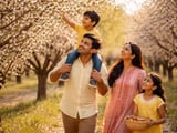 Almond Market Firms on India’s Festive Buying and Steady Origin Prices
