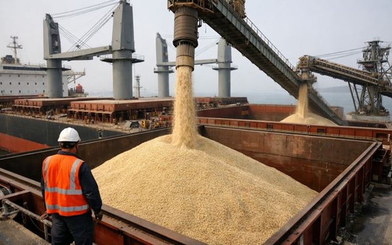 Precios de arroz de exportación de India y Vietnam se suavizan a medida que se avecinan riesgos de monzón