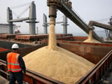 Softening Export Rice Prices from India and Vietnam as Monsoon Risks Loom