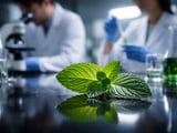 Egypt Peppermint FOB Cairo Edges Higher on Firm Export Demand