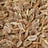 Dill seeds — sortex