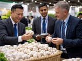 Chinese Supply Weighs on Garlic as Regional Demand Splits