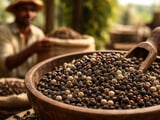 Indian Pepper Firms Prices as Farmers Hold Back; Vietnam FOB Edges Higher