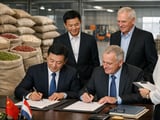 Tight Chinese Mung Bean Balance Meets Softening Export Prices