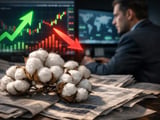 Cottonseed Oil Firms as India’s Monsoon Stays Dry and Imports Shape Margins