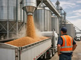 Lentils Under Pressure but Supported by Policy: June Market Snapshot