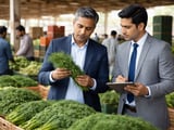 Indian Dill Seeds Hold Firm as Mandis Stabilise and FOB Margins Narrow