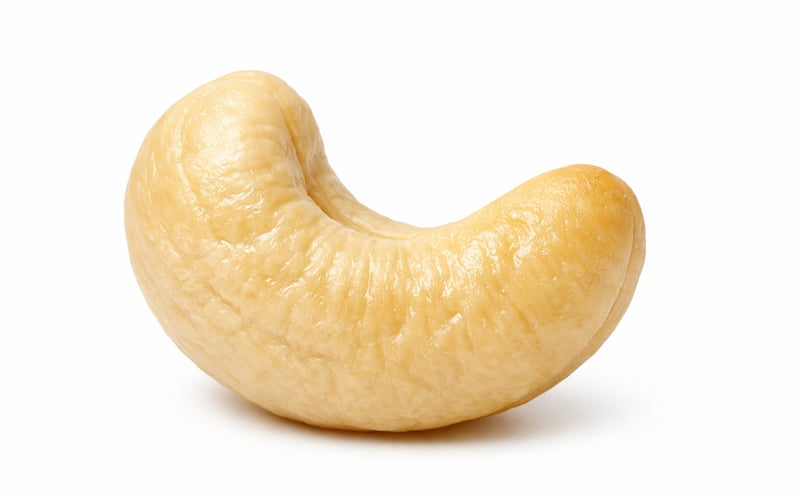 Cashew market under pressure but downside looks limited