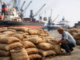 Nutmeg Market Holds Steady on Ample Supply and Moderate Demand