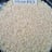 Rice — all steam, 1121 steam