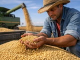 Brazilian Soybeans Anchor Chinese Demand as Imports Beat Expectations