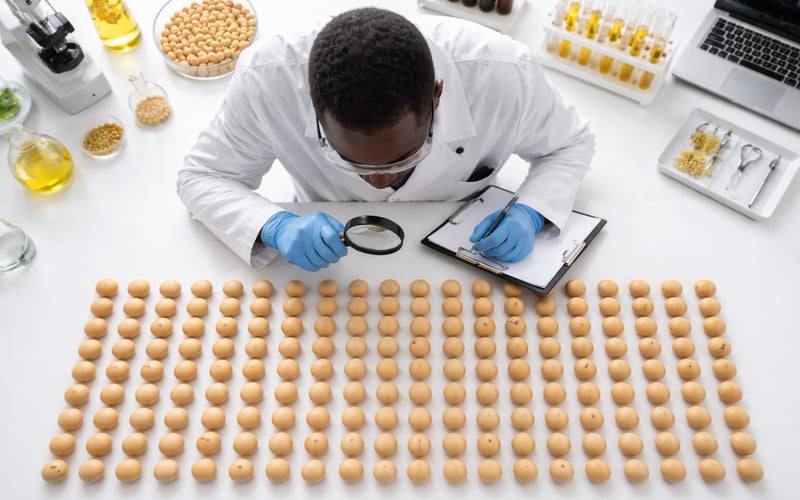 Soybean Squeeze in Uganda Meets Mixed Global Price Signals