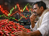Indian Chilli Market: Policy Support Meets Firm, Weather‑Sensitive Prices