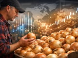 Polish Onion Prices Steady as Warm Harvest Weather Supports Supply