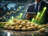 Organic Pistachios Hold Firm as Southern Europe Enters Peak Harvest