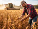 Soybeans Caught Between Harvest Pressure and Strong Export Pull