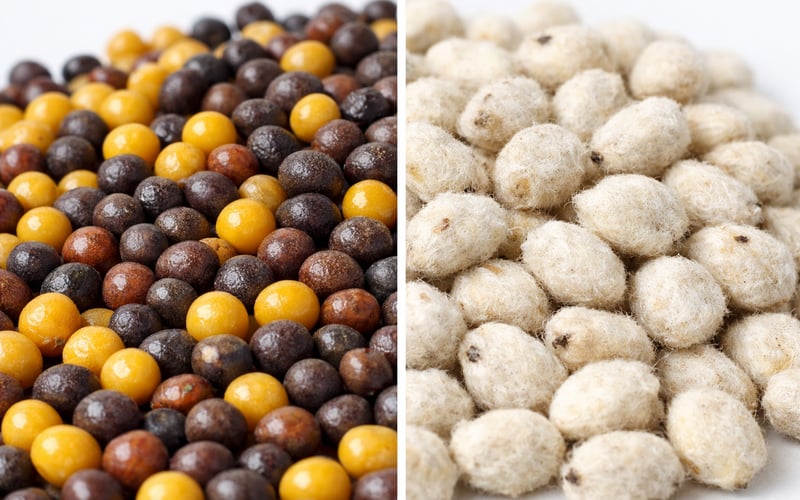 Mustard Oil Strengthens on Tight Supply While Cottonseed Weakens