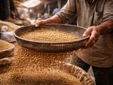 Indian Coriander Edges Higher on Tight Stocks and Weather Uncertainty