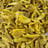 Guava dried — white