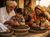 Black Gram Imports Firm as Weather Delays Support Indian Urad Prices