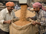 Indian Chickpeas Ride Festive Demand as Global Supply Risks Build