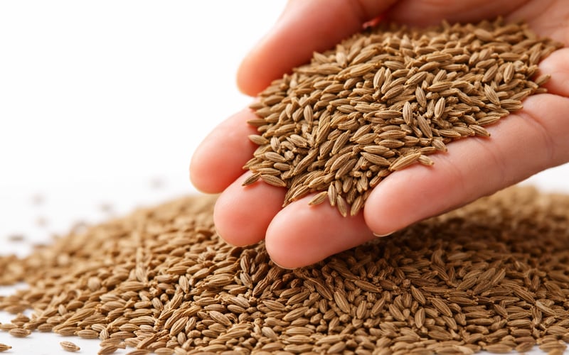 Indian cumin edges higher as Unjha spot and export quotes firm