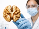 Walnut Market Tightens as California Shipments Outpace 2025/26 Crop