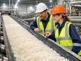 Stable EU Sugar Spot Prices as Weather Turns Favourable in Key Beet Regions